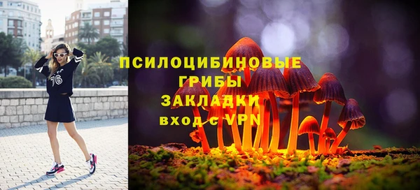 дживик Приозерск