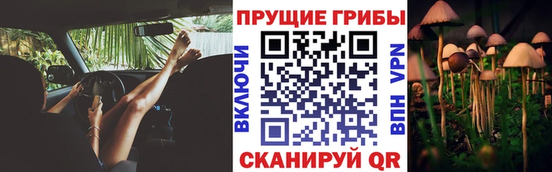 Галлюциногенные грибы мицелий  Чусовой 