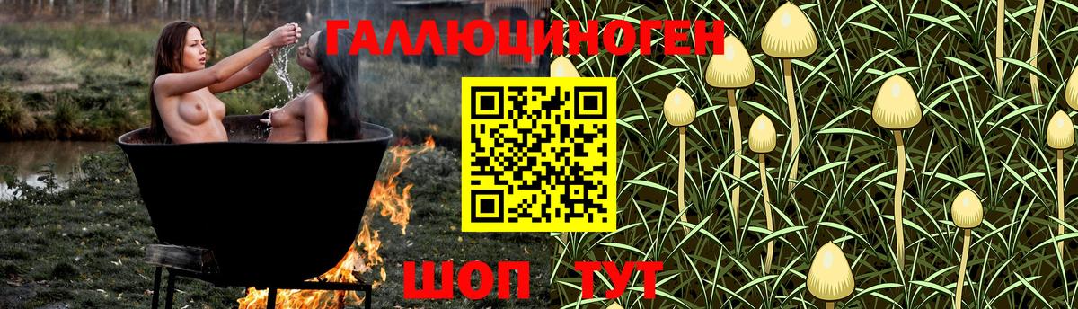 Псилоцибиновые грибы Cubensis  Псилоцибиновые грибы Cubensis  Чусовой 