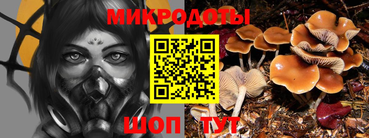 Галлюциногенные грибы Psilocybe Чусовой