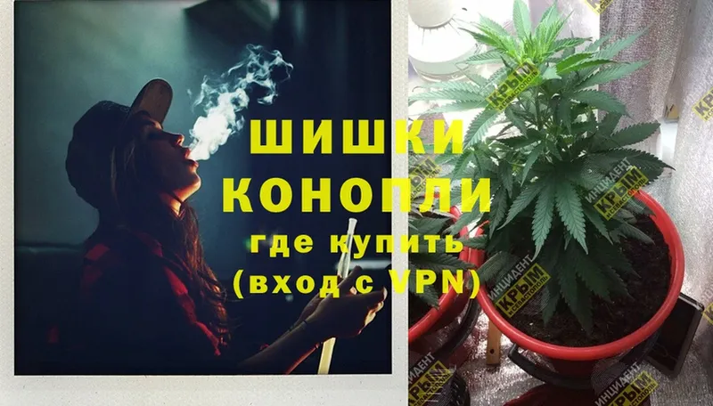 Шишки марихуана Ganja  Чусовой 